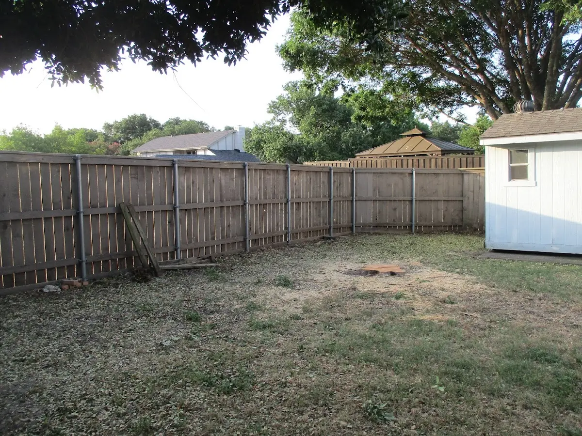 Cleared yard after professional tree removal in Calumet