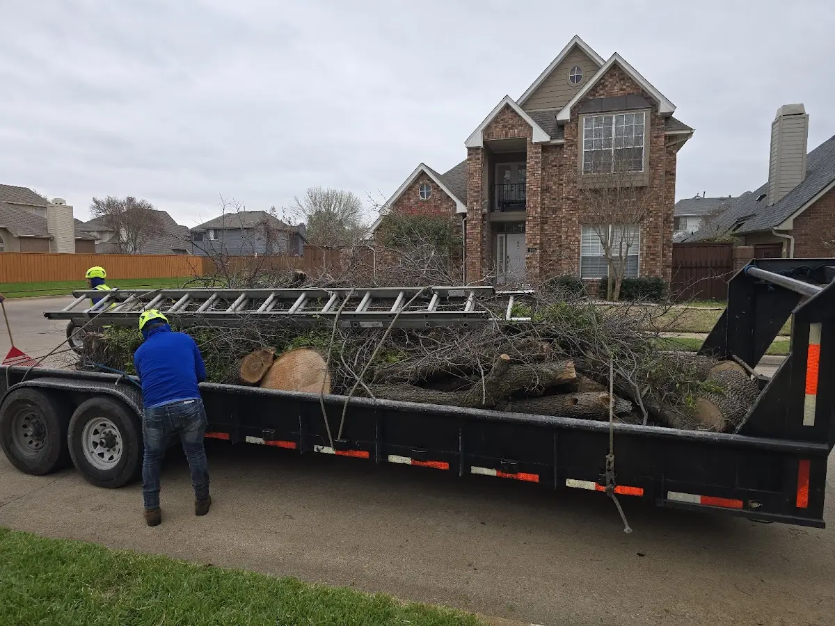Expert Tree Pest Control with proper safety equipment in Calumet